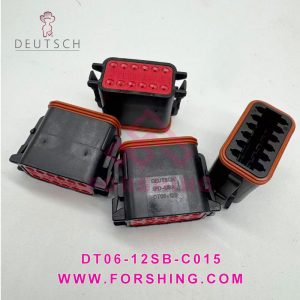 DT06-12SB-C015
