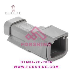 DTM04-2P-P006