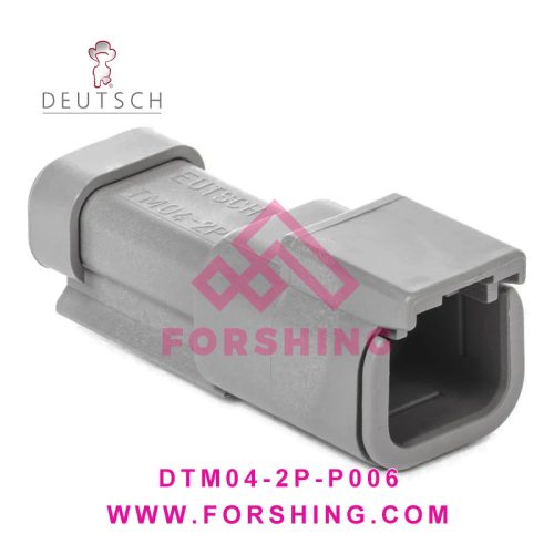 DTM04-2P-P006