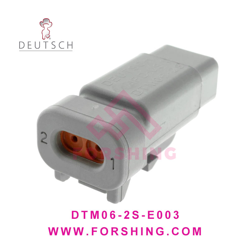 DTM06-2S-E003