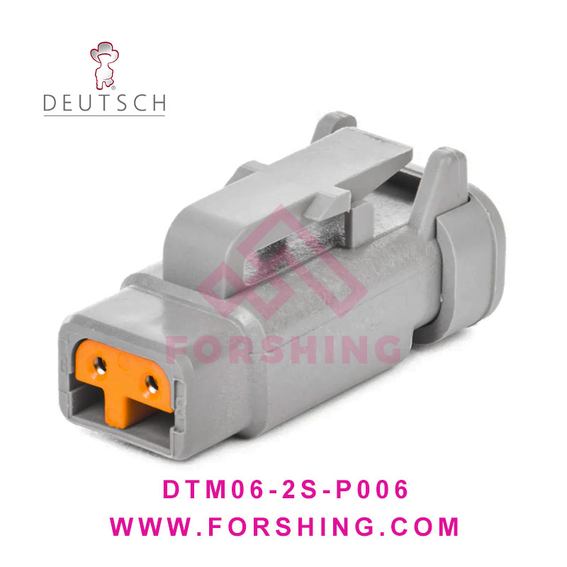 DTM06-2S-P006